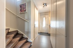 Goudzoeker 21-3.jpg